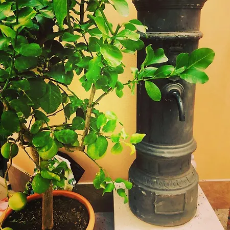 Civico 7 Guest house 4*